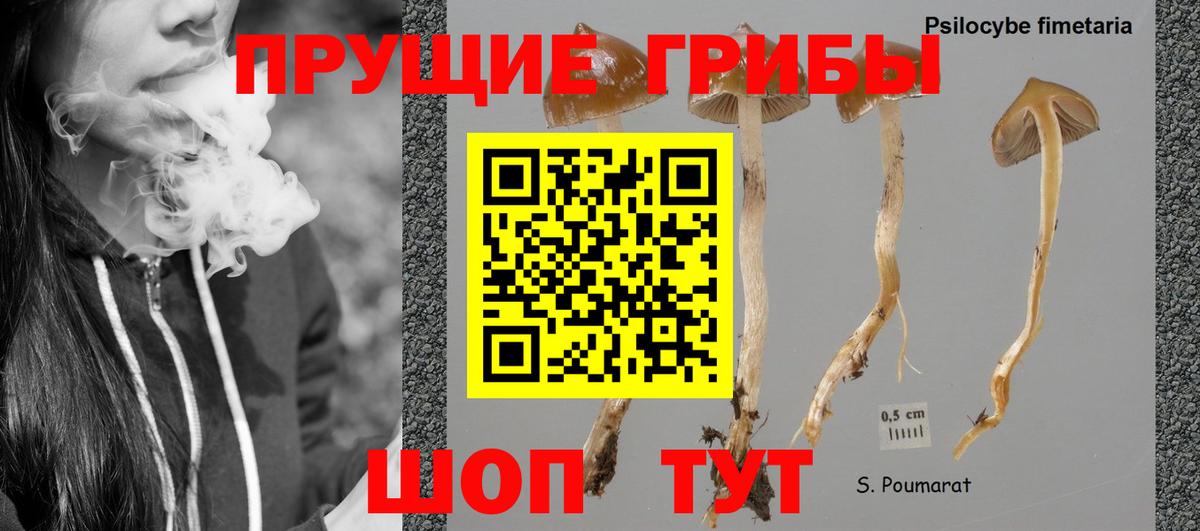 Галлюциногенные грибы Magic Shrooms Кулебаки